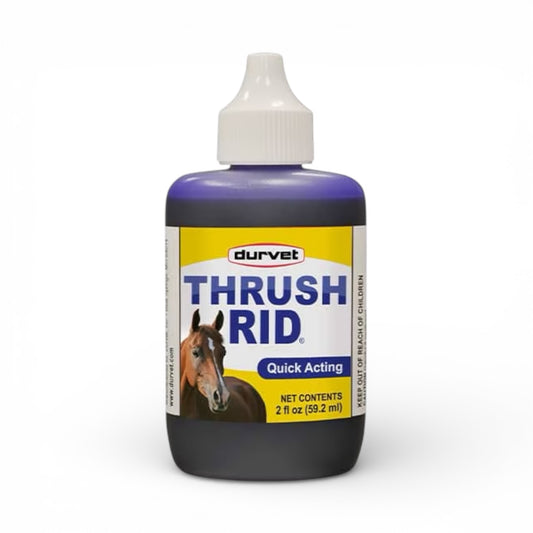 Durvet Thrush Rid – Fast-Acting Thrush Treatment for Horses