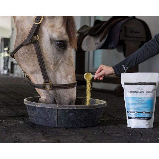 Equine Elixirs AIR FORCE® Respiratory Support