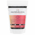 Load image into Gallery viewer, Equine Elixirs SUBSTIBUTE® Comfort & Recovery Support
