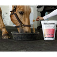 Load image into Gallery viewer, Equine Elixirs SUBSTIBUTE® Comfort & Recovery Support
