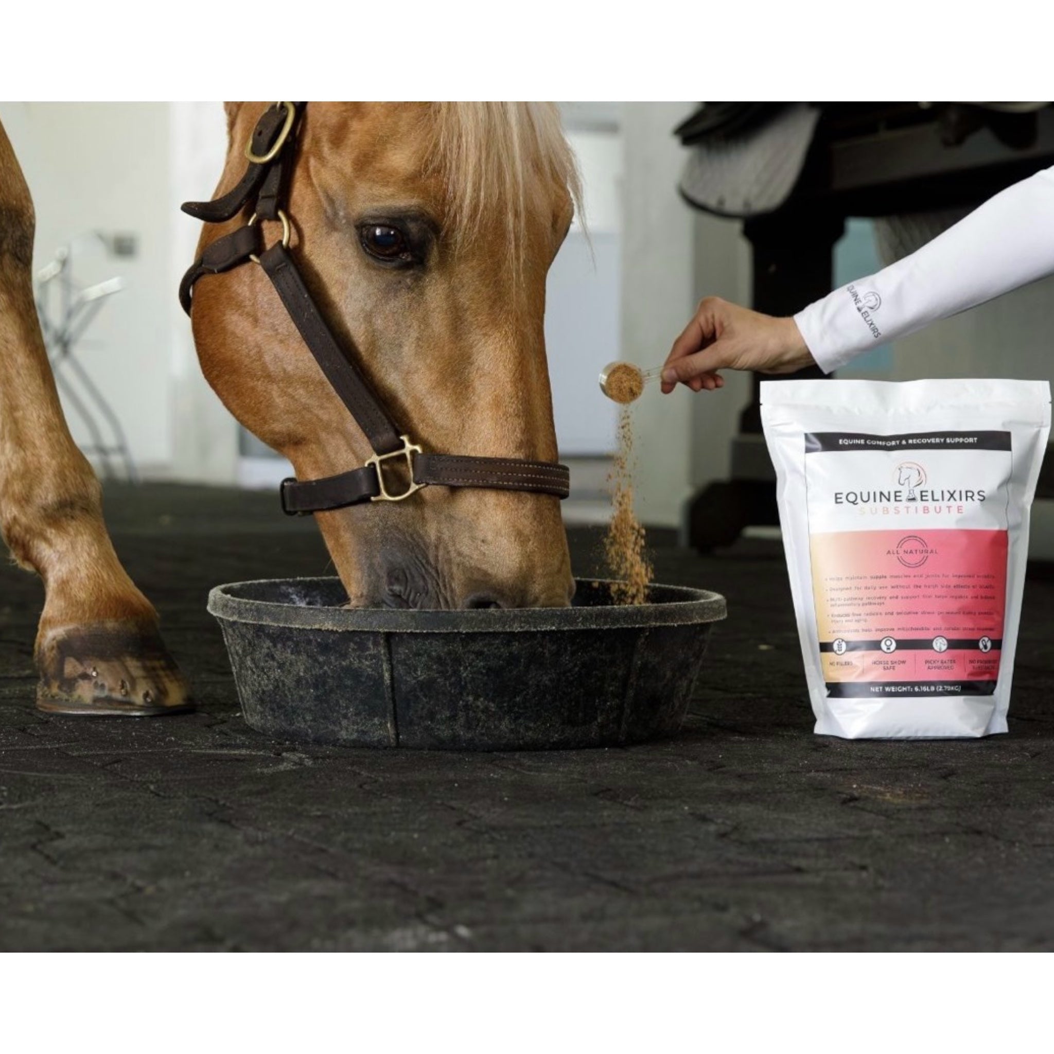 Equine Elixirs SUBSTIBUTE® Comfort & Recovery Support