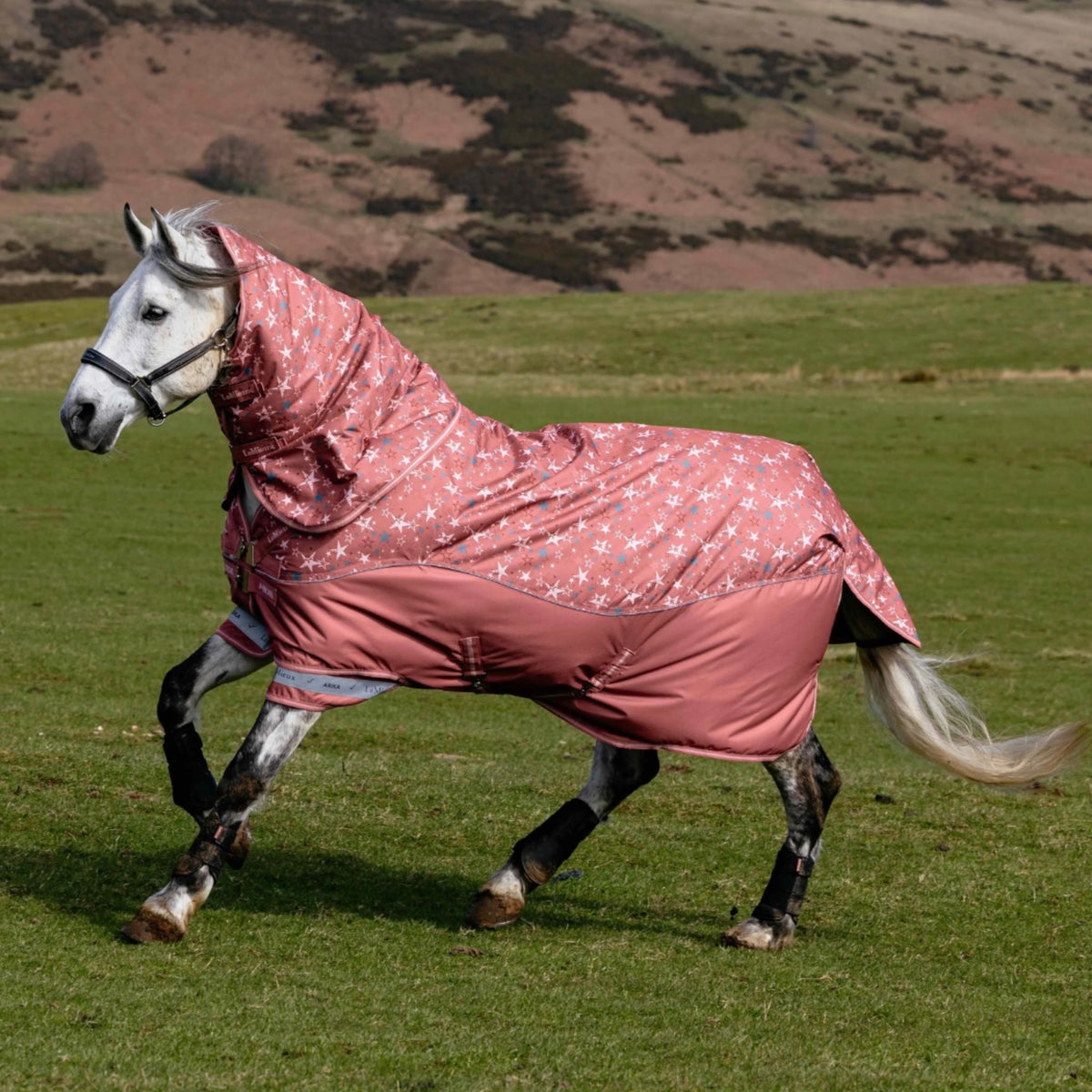 LeMieux® Arika Star Turnout Rug 200g