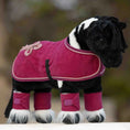 Load image into Gallery viewer, LeMieux® Toy Pony Show Rug
