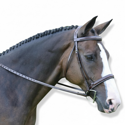 Red Barn by KL Select Spirit Hunter Bridle
