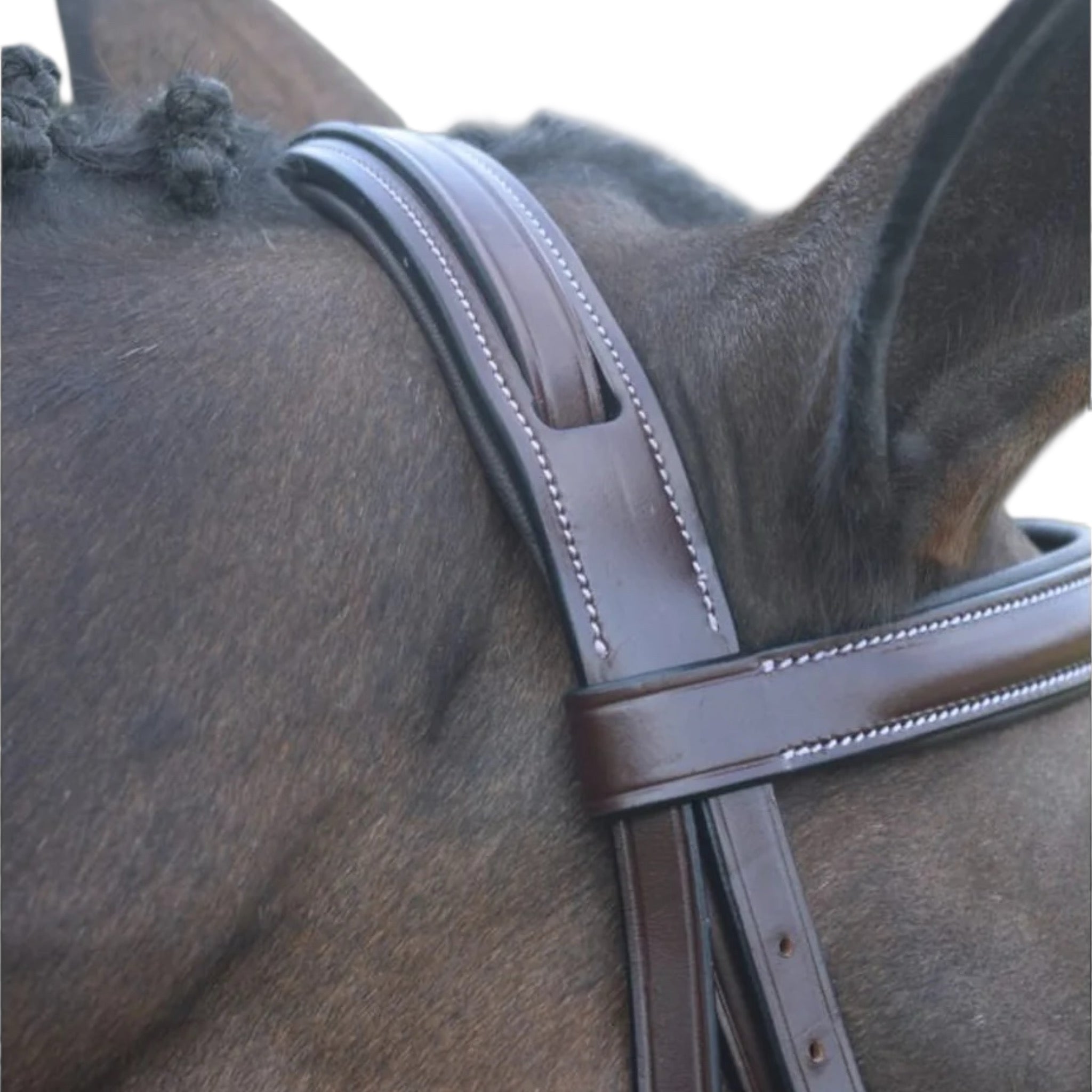 Red Barn by KL Select Spirit Hunter Bridle