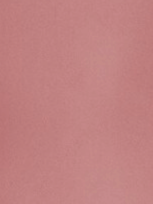 Samshield® Women's Juliane Spring Flower Long Sleeve Shirt SS25