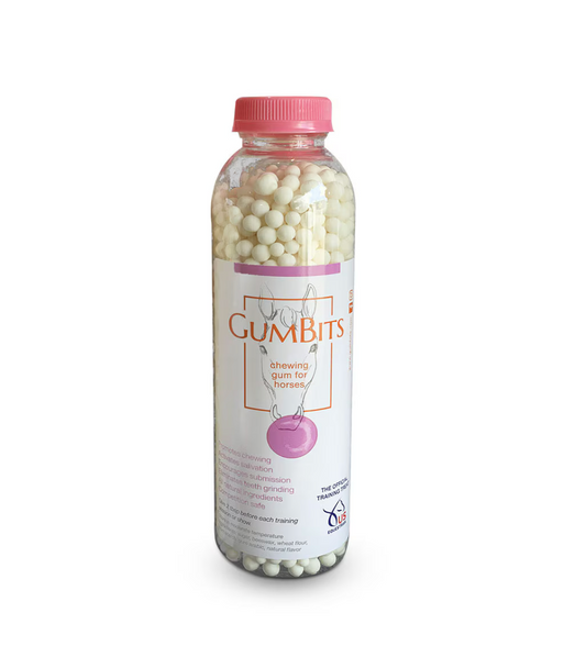 GumBits 12oz – Chewing Gum for Horses & Ponies
