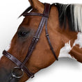 Load image into Gallery viewer, Dyon Cavesson Hunter Noseband Bridle
