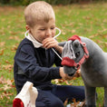 Load image into Gallery viewer, LeMieux® Toy Pony Vet Set
