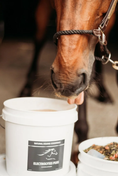 Load image into Gallery viewer, Natural Equine Essentials Electrolytes Plus

