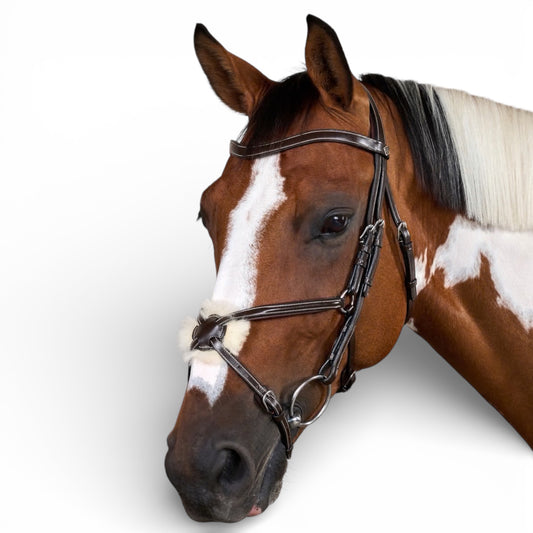 Dyon Figure 8 Noseband Bridle