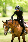 Load image into Gallery viewer, Euphoric Equestrian Clara Longsleeve Women's Turtleneck
