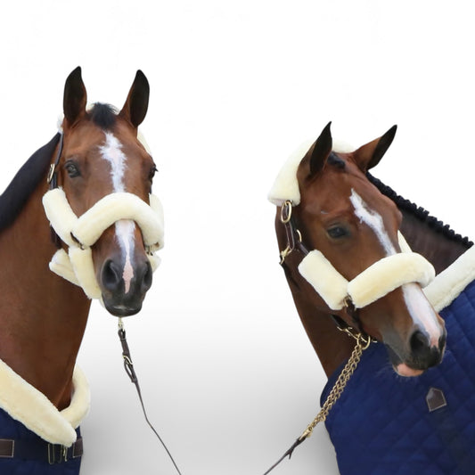 Kentucky Horsewear Sheepskin Halter Set Of 4