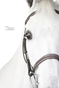 Load image into Gallery viewer, Belle & Bow Sugarbrook Bridle Wide Noseband
