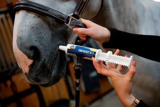 Cavalor® Emergency 911 - 60g Paste