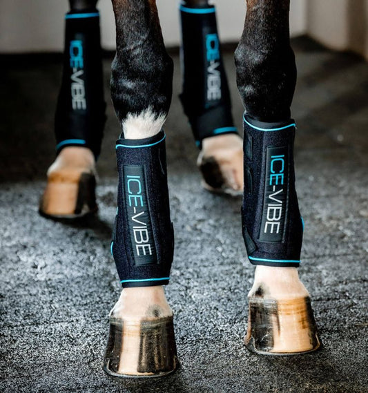 Horseware Ireland Ice-Vibe by HW Boot LED