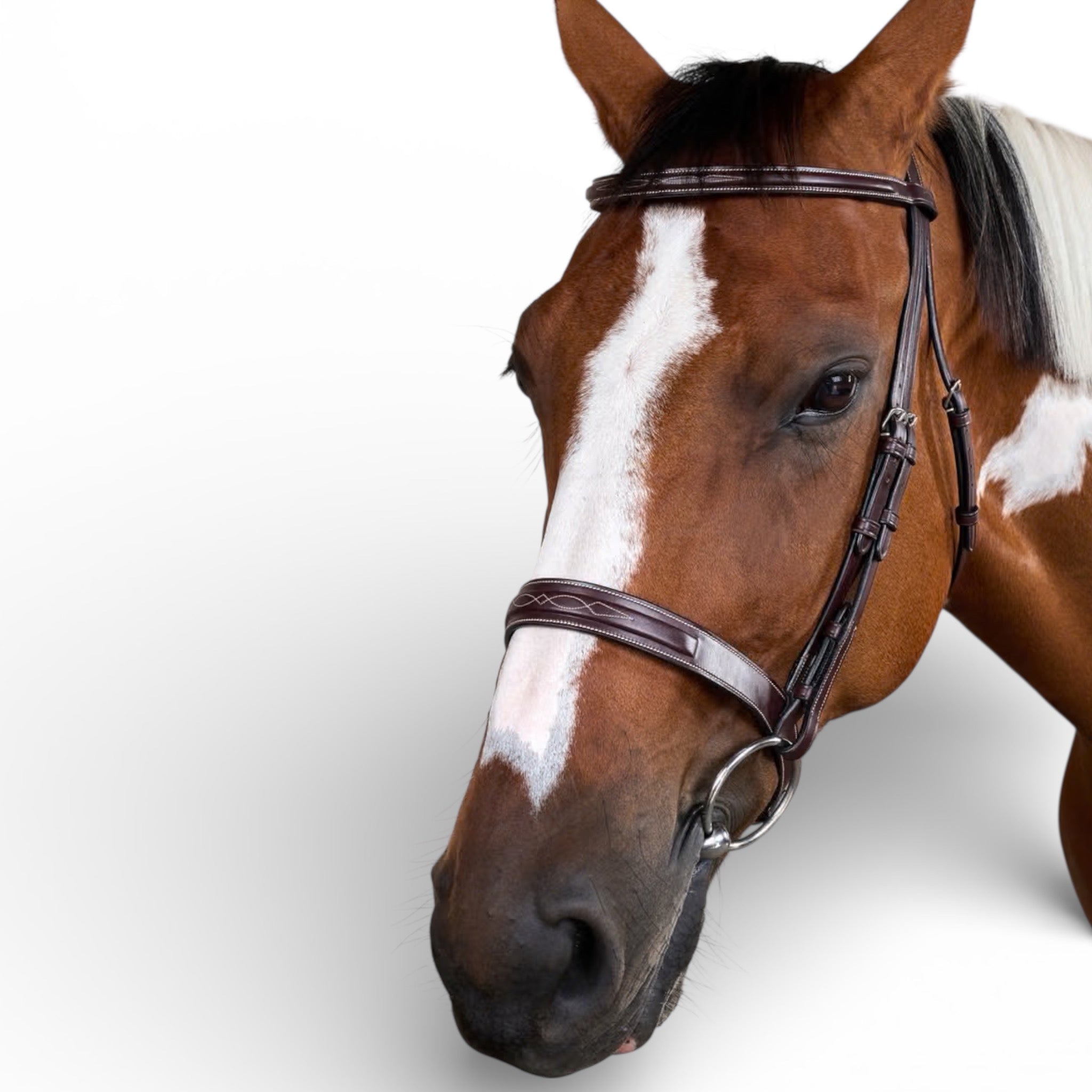 Dyon Cavesson Hunter Noseband Bridle