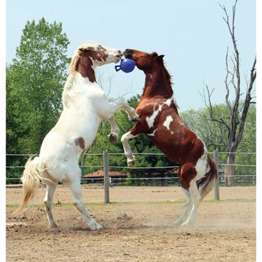 Jolly Ball for Horses L 10"