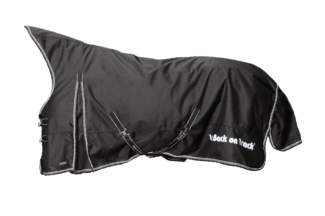 Back on Track® Turnout Sheet