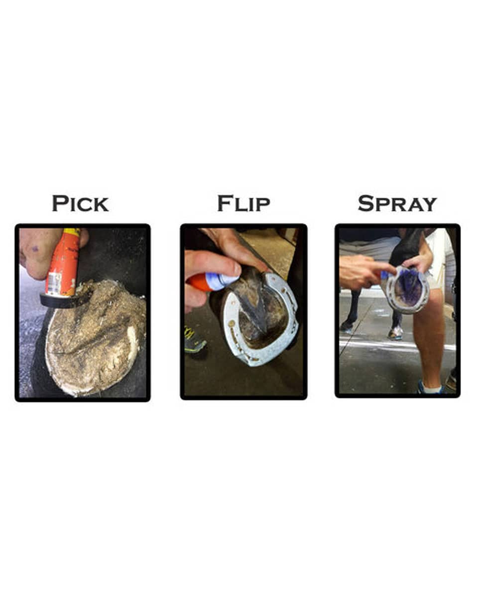 Groom's Hand Thrush Solution