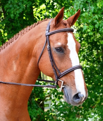Black Oak Aster Hunter Bridle