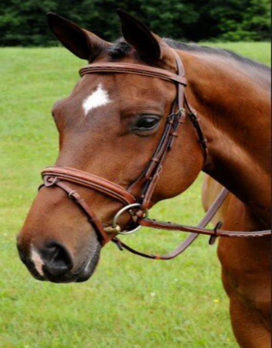 Arc de Triomphe Starman Bridle with Reins Crank Stud Brown