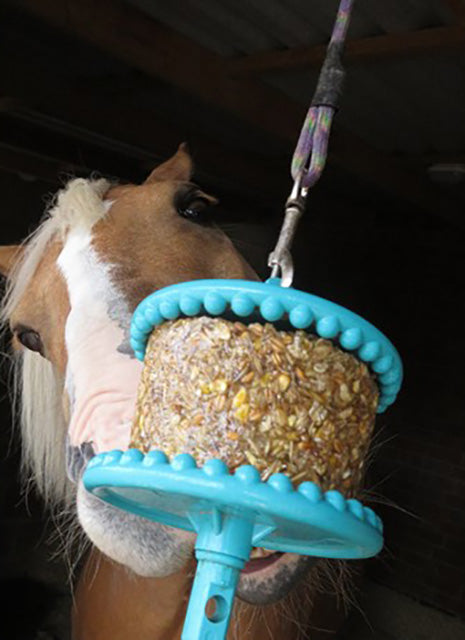 Likit Granola Refill 550gm