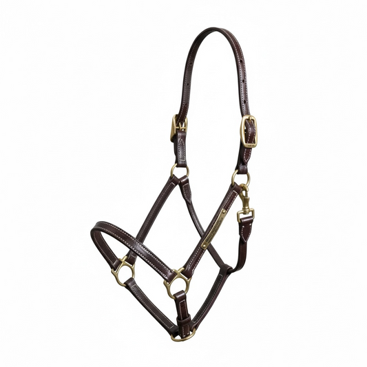 Walsh Showman Halter