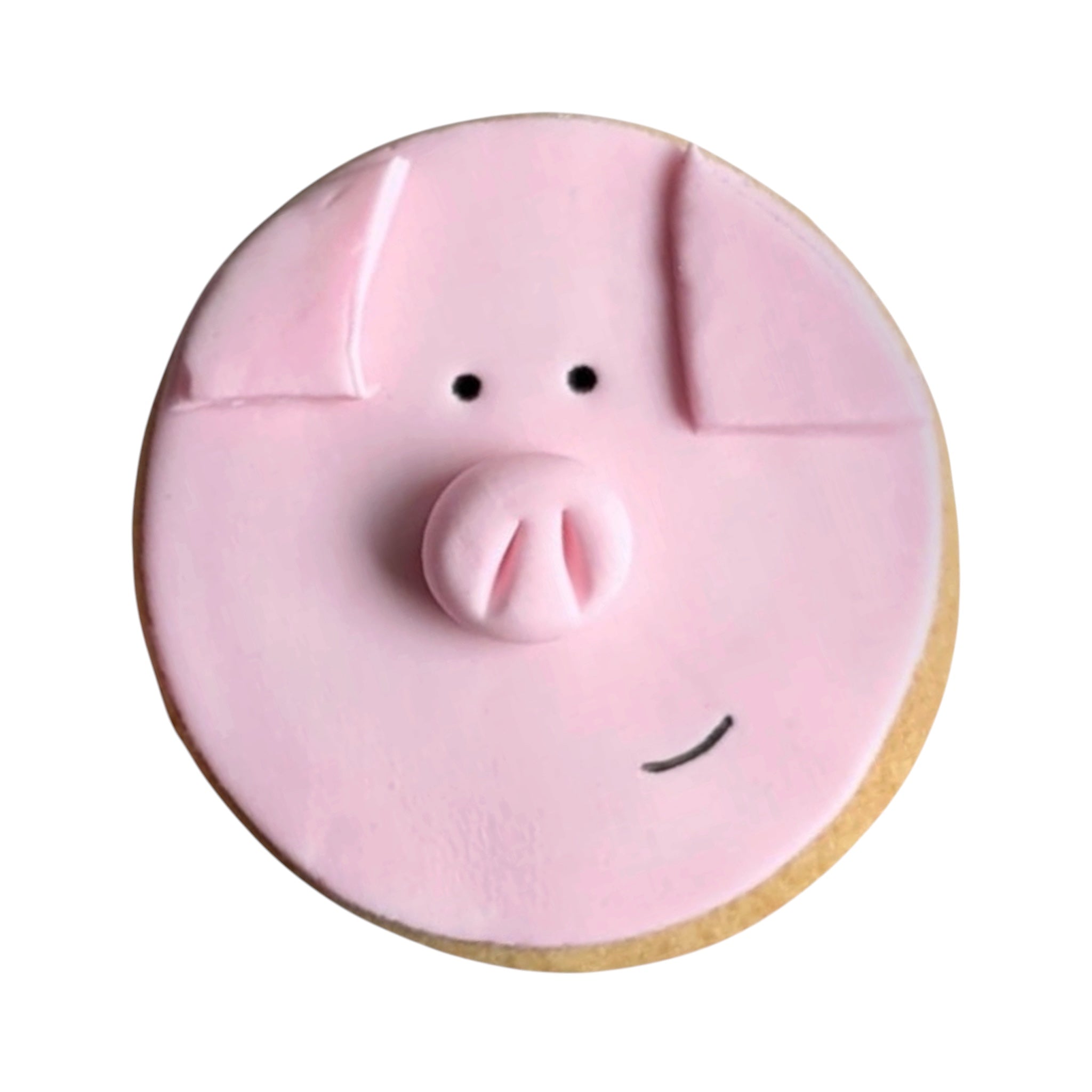 Pretty Piggy – Sprinkles & Sparkles Single Sugar Cookie for Humans