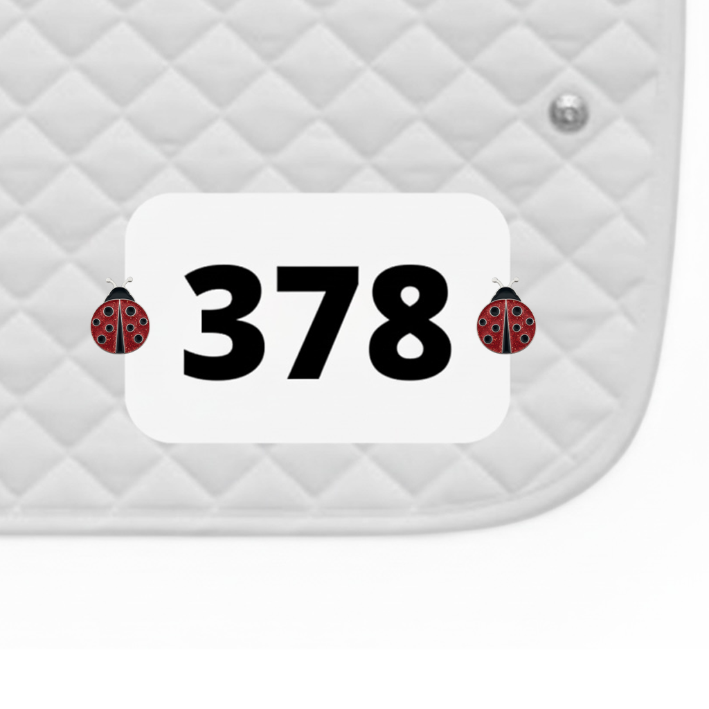 Ladybug Number Pin Charms by Dubois Cheval