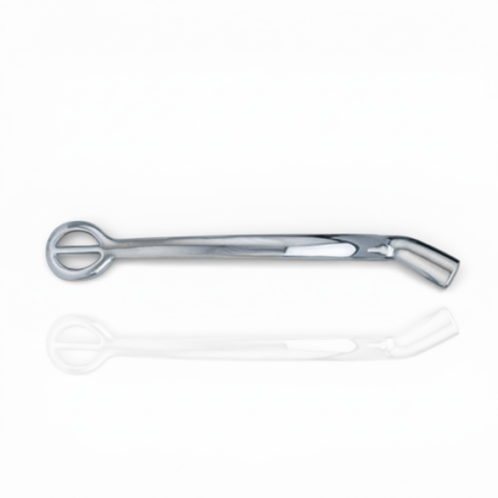 Centaur Stainless Steel POW Spurs- Ladies