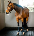 Load image into Gallery viewer, Horseware Ireland Ice-Vibe by HW Boot LED
