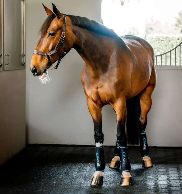 Horseware Ireland Ice-Vibe by HW Boot LED