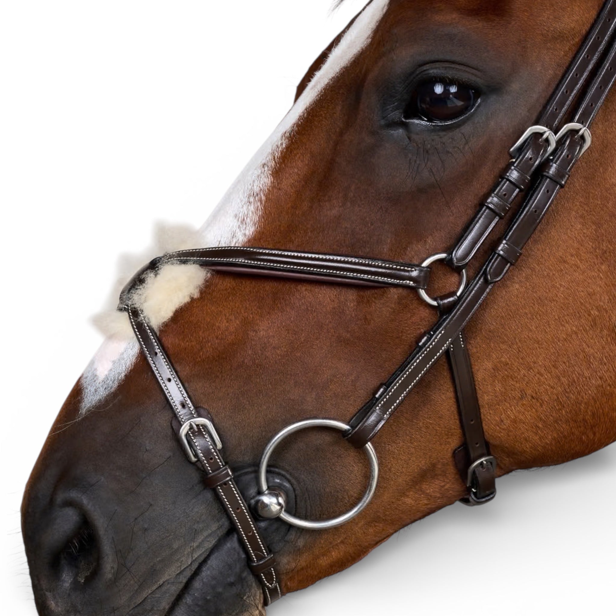 Dyon Figure 8 Noseband Jumper Bridle