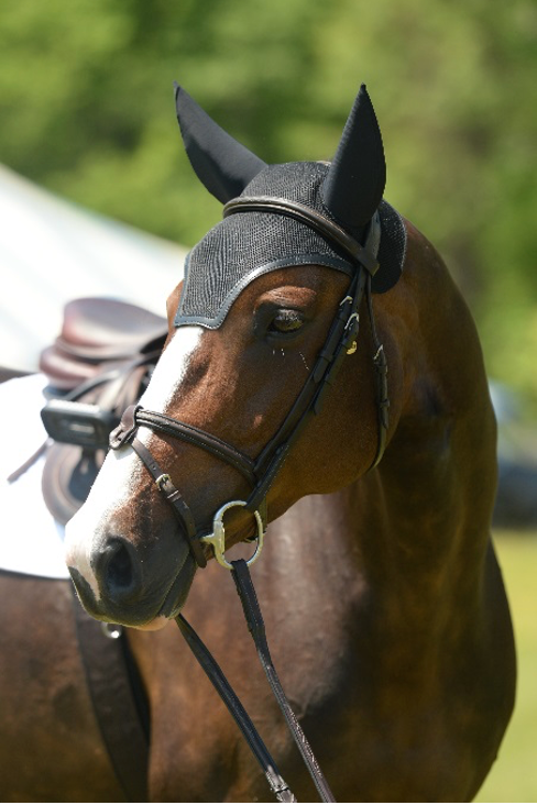 EquiFit® SilentFit Ear Bonnet