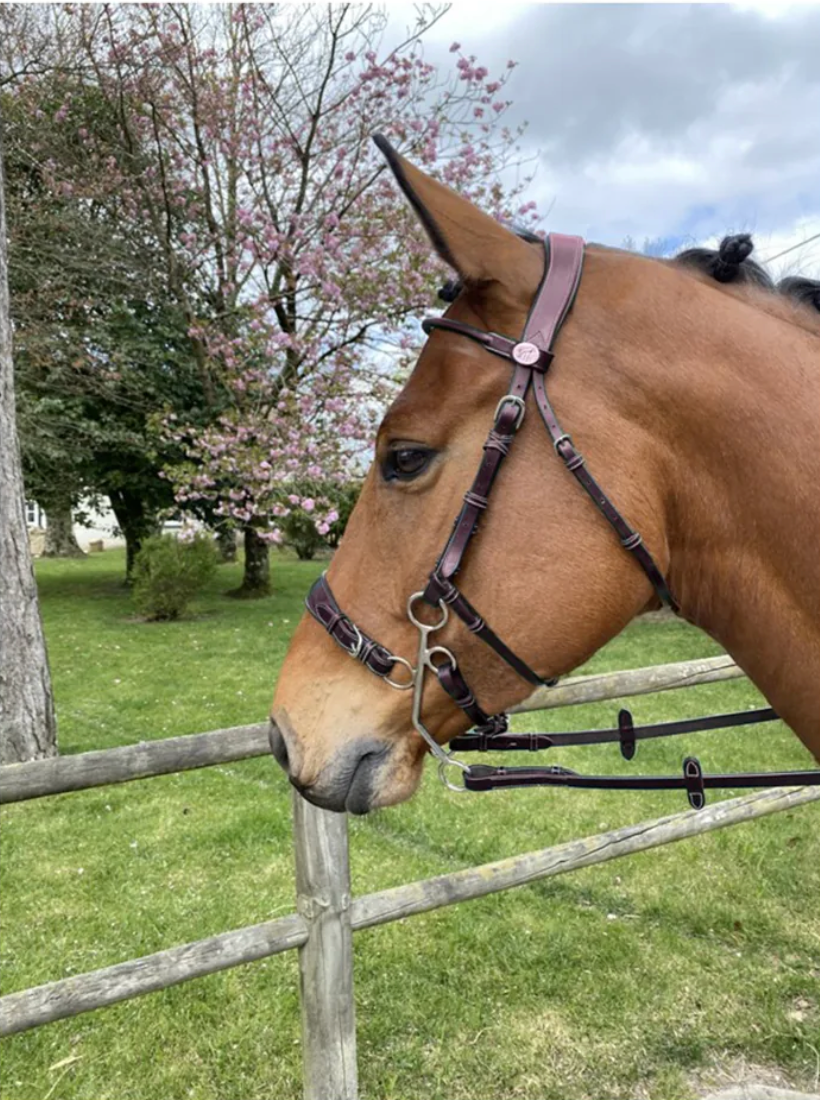 Jump In Hackamore Bridle Week Collection Havana Full