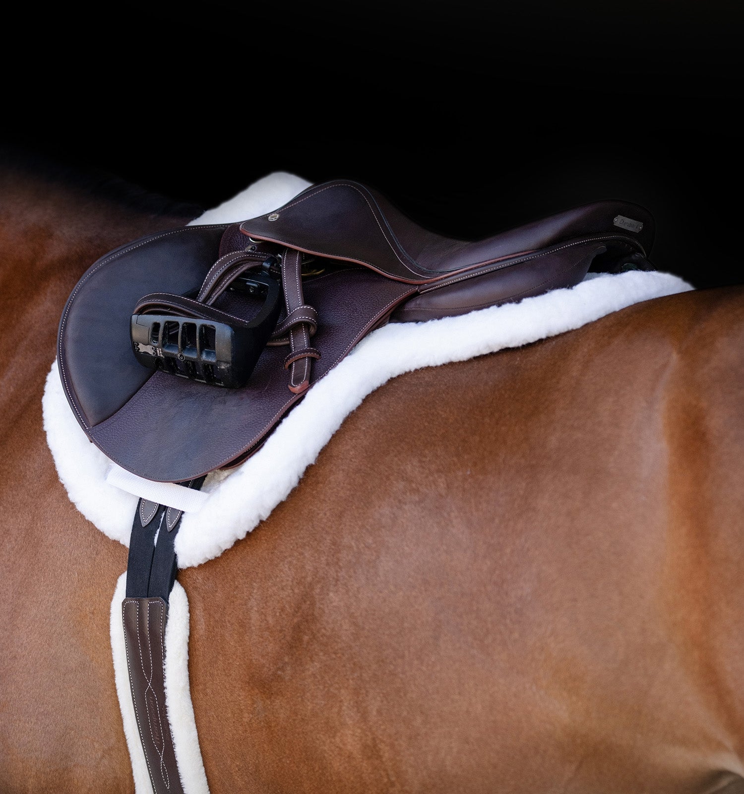 Equifit® Essential® Hunter Pad Pro