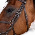 Load image into Gallery viewer, Dyon Figure 8 Noseband Jumper Bridle
