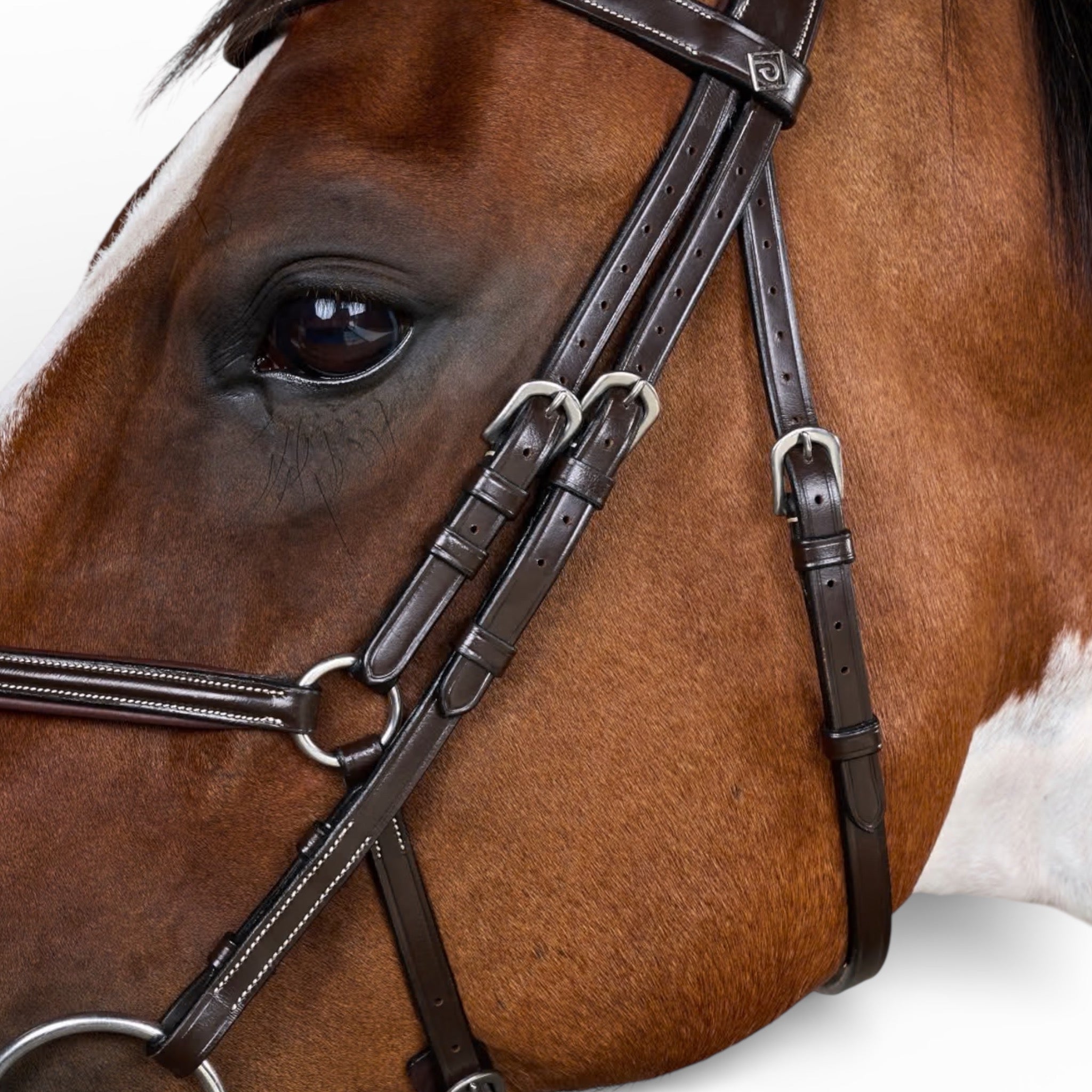 Dyon Figure 8 Noseband Jumper Bridle