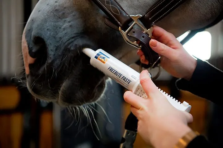 Cavalor® Free Bute Pro Paste 60ml 1 Tube
