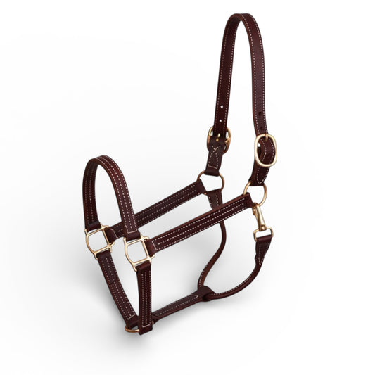 Perri's Havana Professional Show Halter 1"