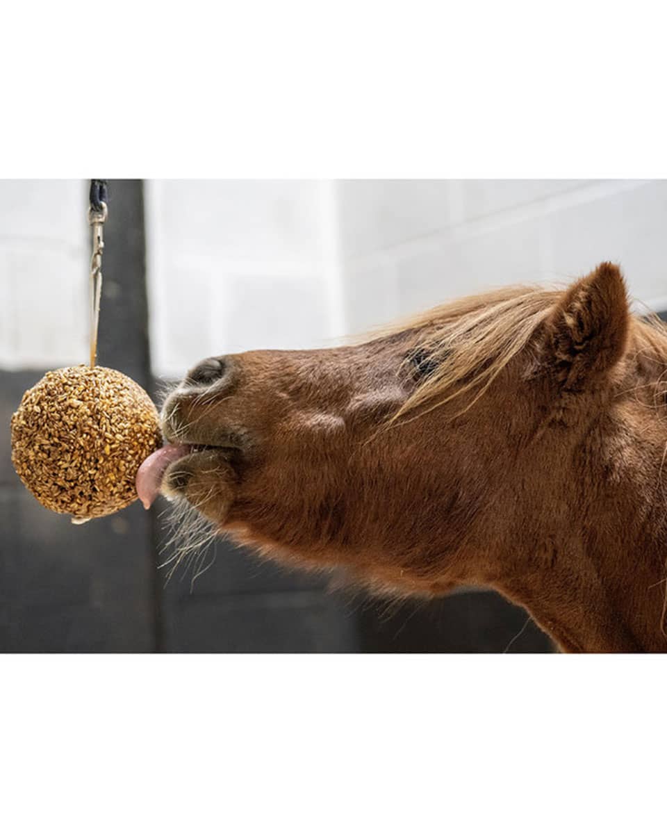 LikIt Granola Stall Ball