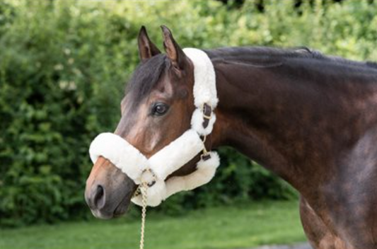 Perri's Sheepskin Shipping Halter
