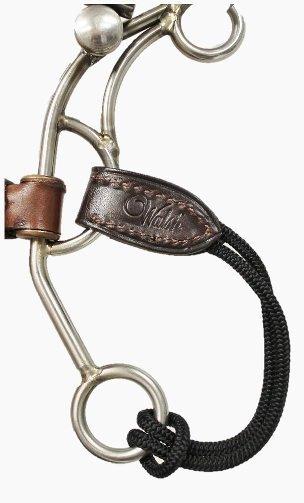 Walsh Pelham Bit Converter