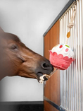 Load image into Gallery viewer, LeMieux® Horse Toy
