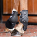 Load image into Gallery viewer, EquiFit® Prolete™ Hind Boots with Elastic Straps & Extended Liner
