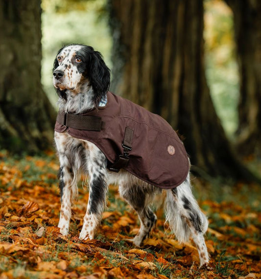 Horseware® Newmarket Heritage Dog Coat
