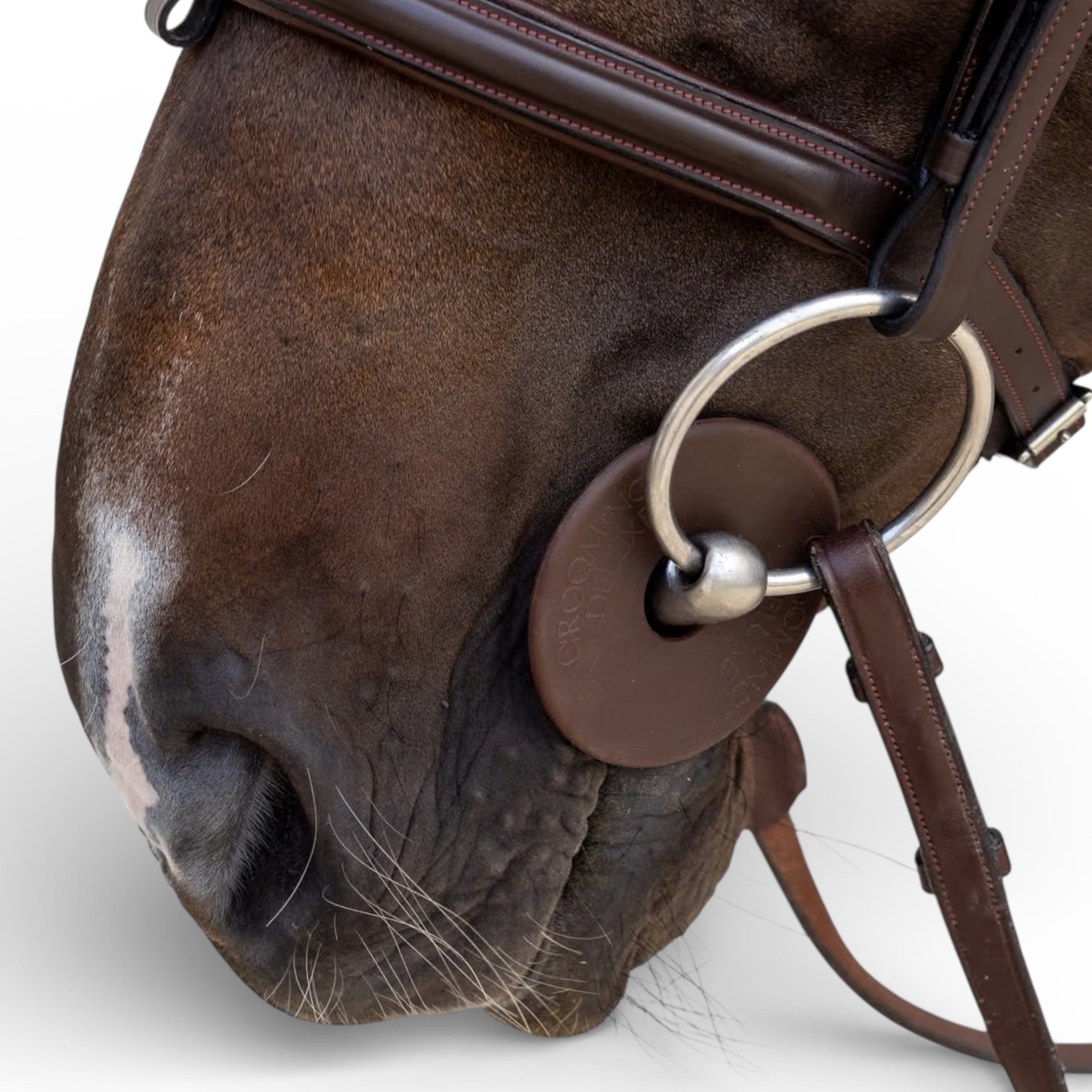 Kentucky Forswear Silicone Bit Guard Pair of 2