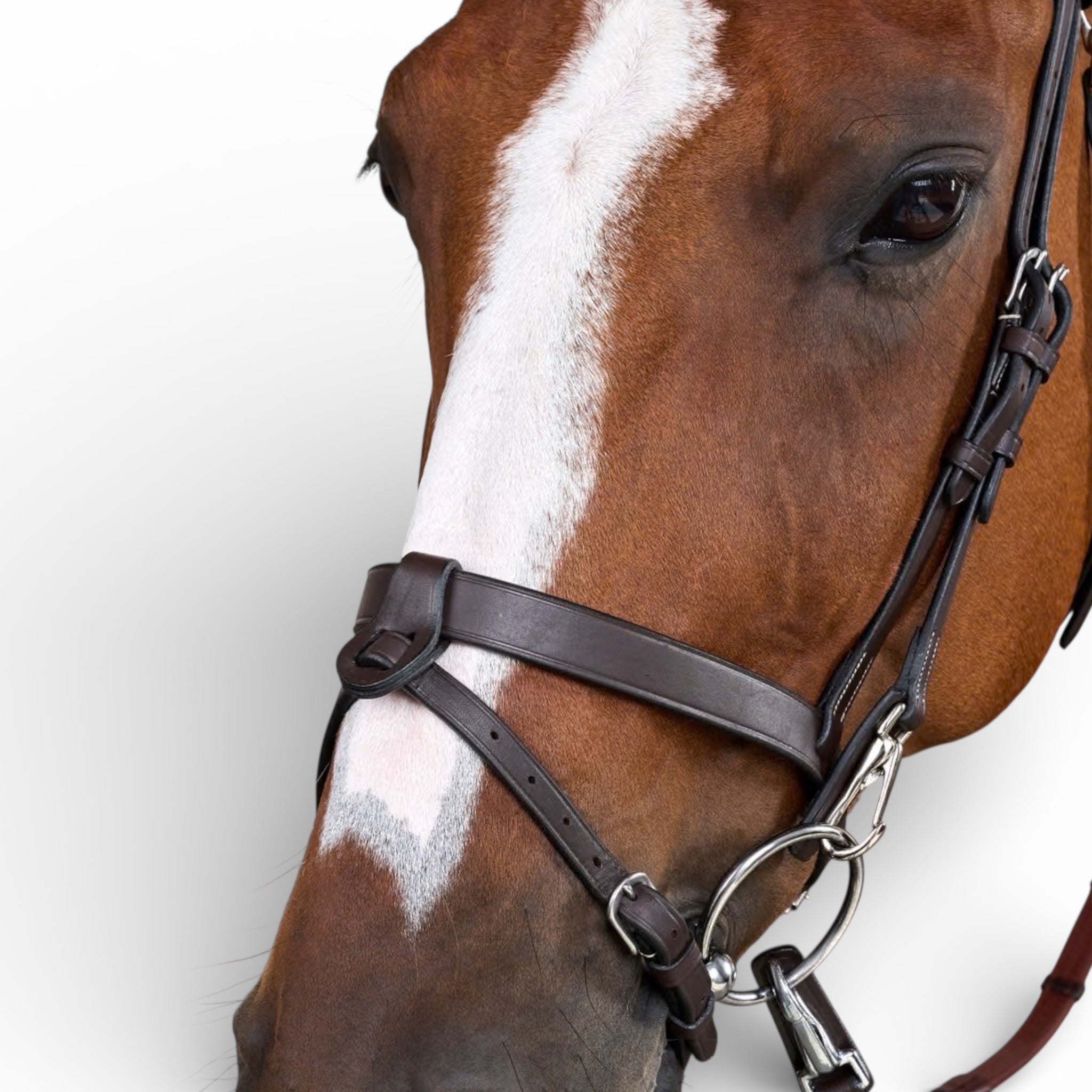 Dyon Flat Leather Bridle With Snap Hooks