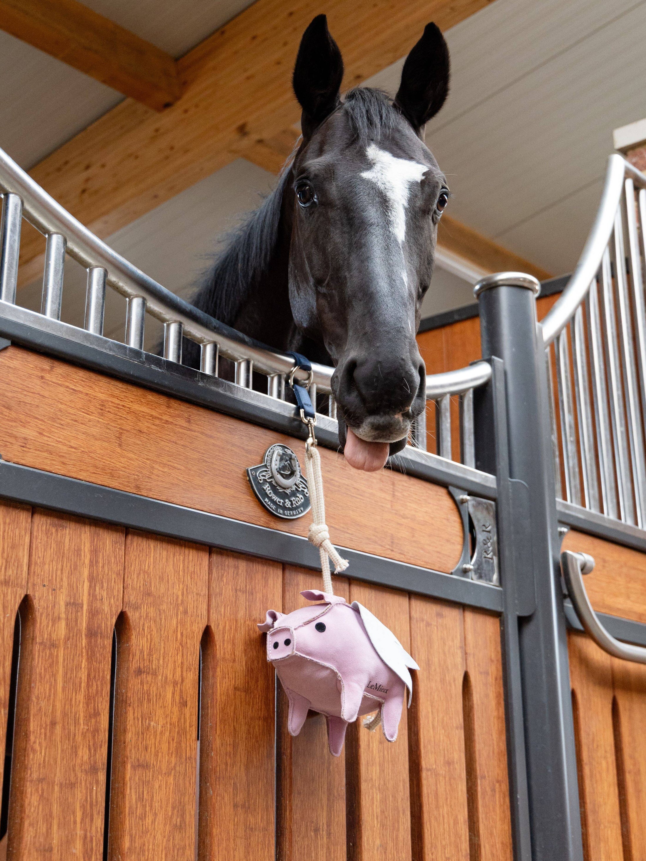 LeMieux® Horse Toy-Flying Pig